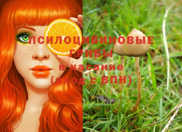 бошки Верхнеуральск