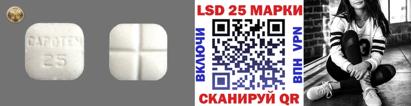 Купить закладки  Сасово  ЛСД экстази кислота 